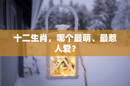 十二生肖，哪个最萌、最惹人爱？