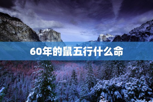 60年的鼠五行什么命