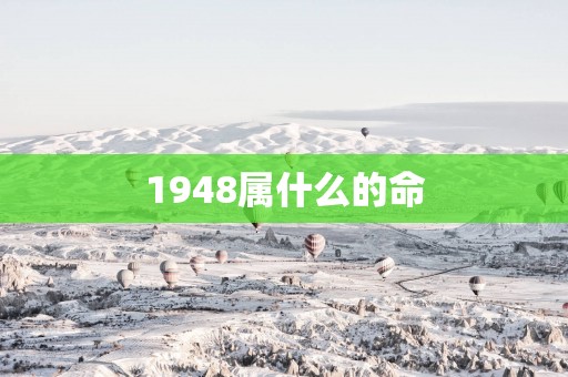 1948属什么的命