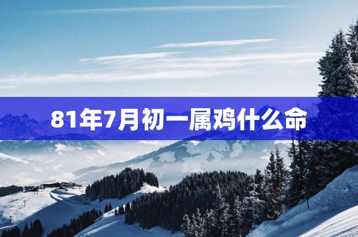 81年7月初一属鸡什么命