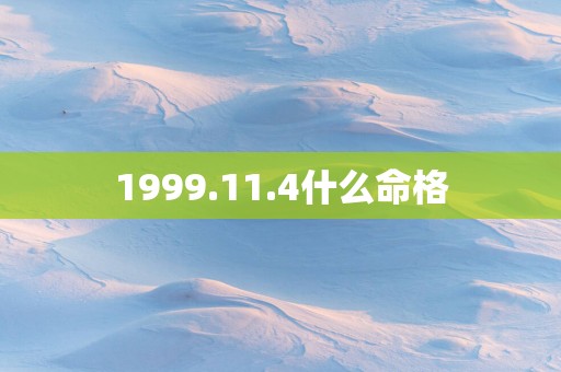1999.11.4什么命格