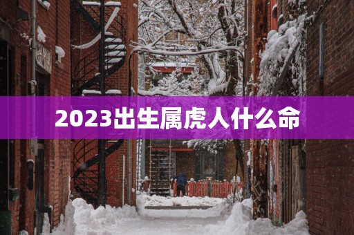 2025出生属虎人什么命