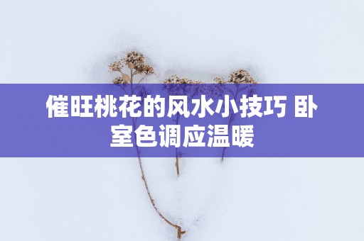 催旺桃花的风水小技巧 卧室色调应温暖