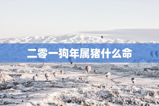 二零一狗年属猪什么命