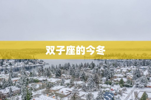 双子座的今冬