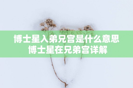 博士星入弟兄宫是什么意思 博士星在兄弟宫详解