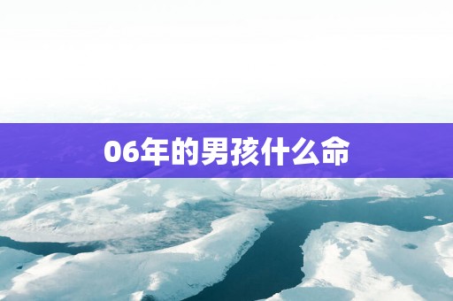 06年的男孩什么命
