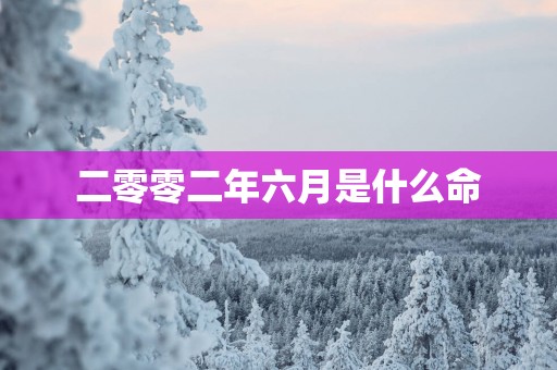 二零零二年六月是什么命
