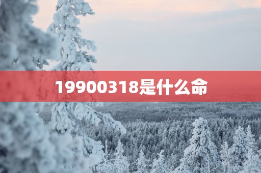 19900318是什么命