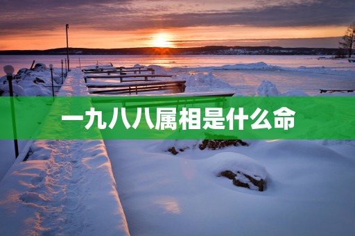 一九八八属相是什么命