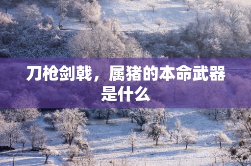 刀枪剑戟，属猪的本命武器是什么