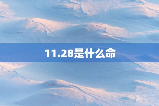 11.28是什么命