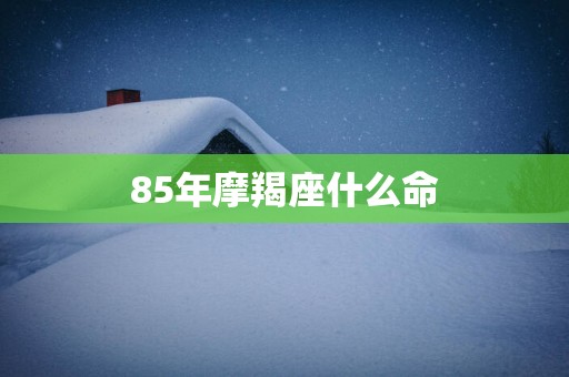 85年摩羯座什么命