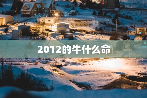 2012的牛什么命
