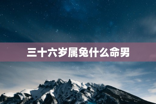 三十六岁属兔什么命男