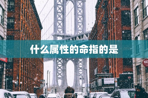 什么属性的命指的是