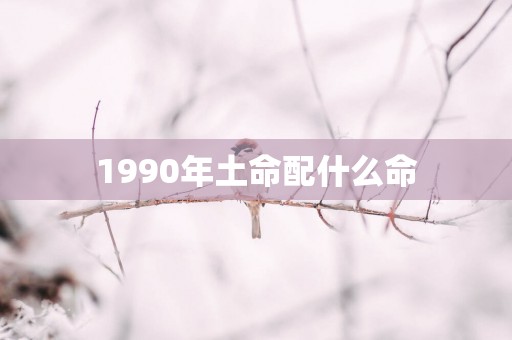 1990年土命配什么命