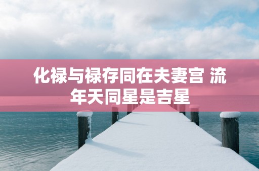 化禄与禄存同在夫妻宫 流年天同星是吉星