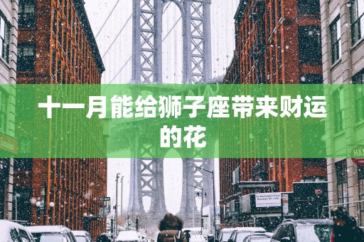 十一月能给狮子座带来财运的花