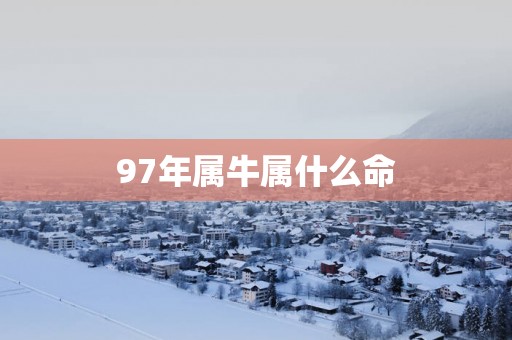 97年属牛属什么命 97年属牛属什么命