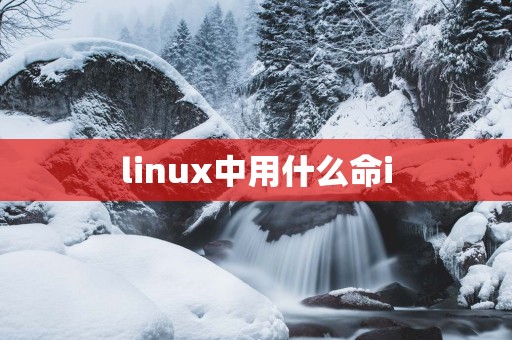 linux中用什么命i