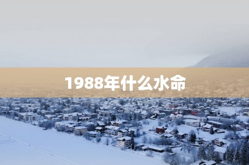 1988年什么水命