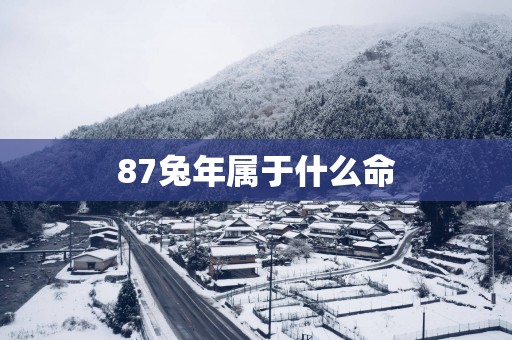 87蛇年属于什么命