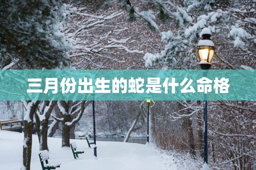 三月份出生的蛇是什么命格