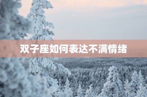 双子座如何表达不满情绪