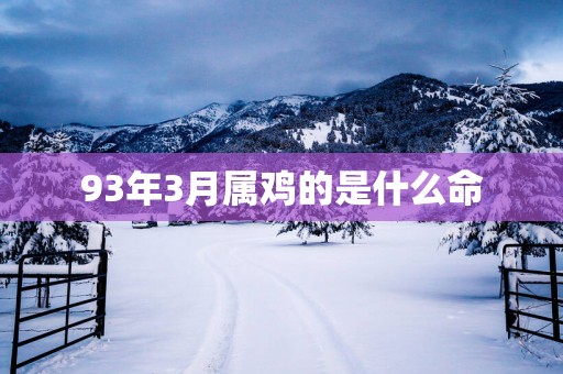 93年3月属鸡的是什么命
