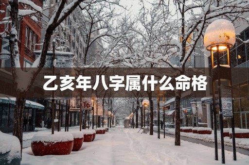 乙亥年八字属什么命格