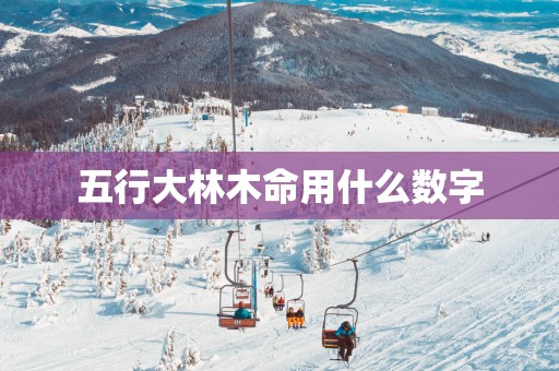 五行大林木命用什么数字