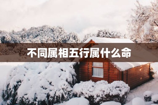 不同属相五行属什么命