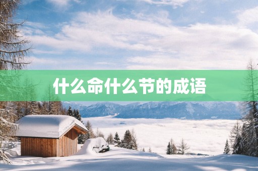 什么命什么节的成语