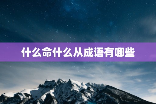 什么命什么从成语有哪些