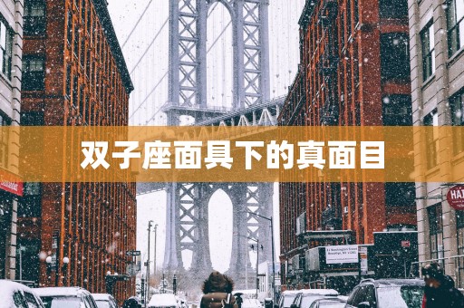 双子座面具下的真面目