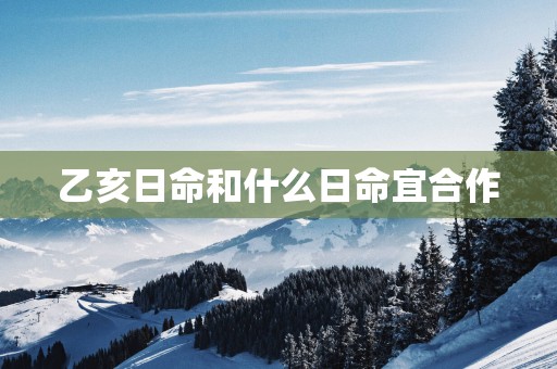 乙亥日命和什么日命宜合作