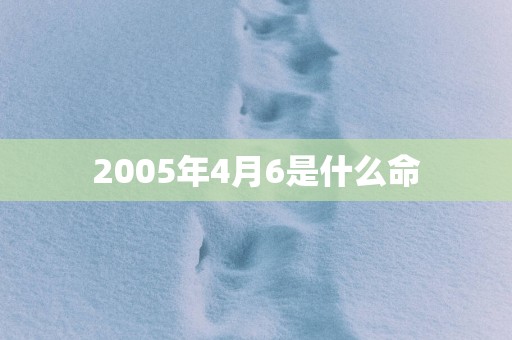 2005年4月6是什么命