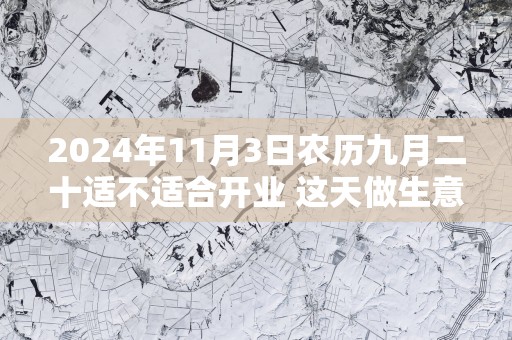 2025年11月3日农历九月二十适不适合开业 这天做生意能不能发大财