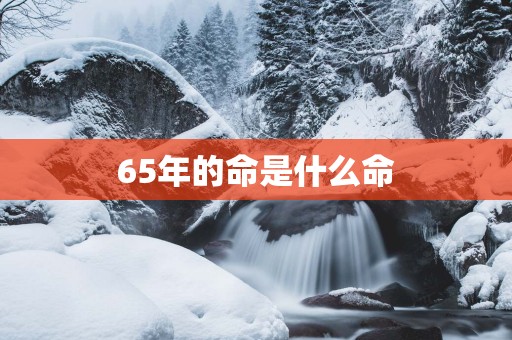 65年的命是什么命