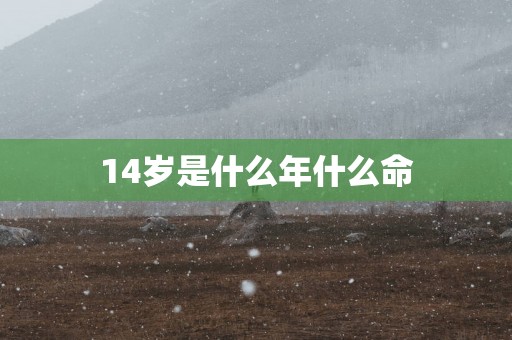 14岁是什么年什么命