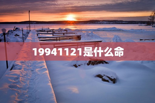 19941121是什么命