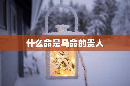 什么命是马命的贵人