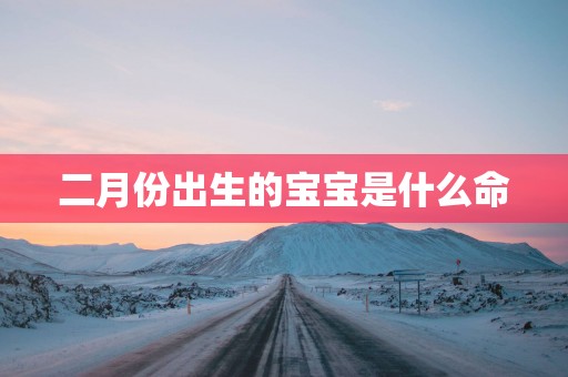 二月份出生的宝宝是什么命