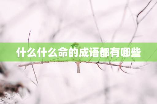什么什么命的成语都有哪些 什么什么命的成语都有哪些