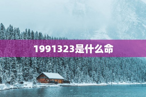 1991323是什么命