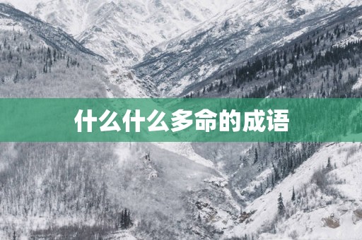 什么什么多命的成语
