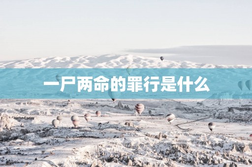 一尸两命的罪行是什么