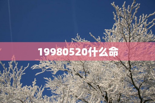 19980520什么命