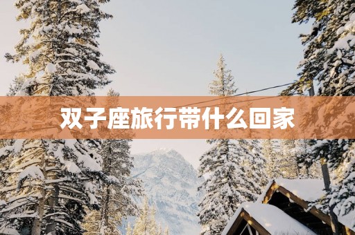 双子座旅行带什么回家